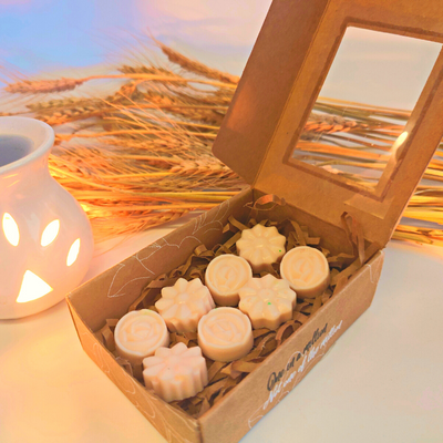 Bagicha Soy Wax Melts 